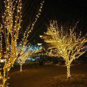 Vianočné osvetlenie ColorWay vonkajšie, 100 LED, 220VAC, 10m, teplá biela 

 obrázok produktu 16 z 19
