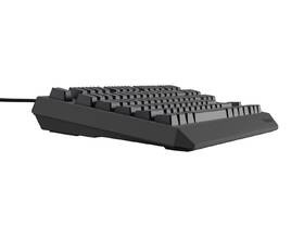 Klávesnica Genesis THOR 230, TKL, RGB, Outemu Red, CZ-SK layout čierna

 obrázok produktu 19 z 19