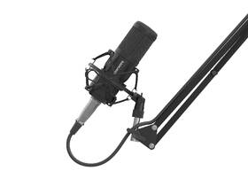 Mikrofón Genesis RADIUM 300, XLR čierny

 obrázok produktu 5 z 12