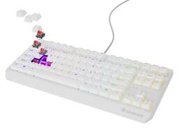 Klávesnica Genesis THOR 230, TKL, RGB, Outemu Red, US layout biela

 obrázok produktu 6 z 9