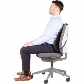 Chrbtová opierka Fellowes Professional síťovaná čierna

 obrázok produktu 4 z 4