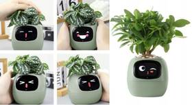 Inteligentný kvetináč Plantsio IVY zelený

 obrázok produktu 1 z 5