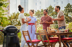 Gril záhradný plynový Weber Q 3200N+ čierny

 obrázok produktu 12 z 12