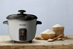 Ryžovar Concept RE1010 nerez

 obrázok produktu 6 z 8