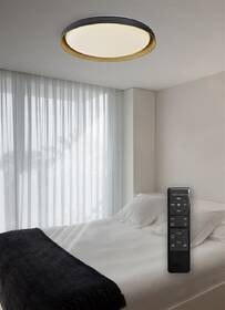 LED stropné svietidlo Top Light Satellite 50C RC, s diaľkovým ovládačom, 48W, 4800lm, stmievanie, pamäť, priemer 53cm čierne/drevené

 obrázok produktu 4 z 4