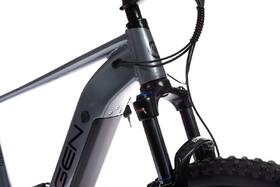 Elektrobicykel GoGEN Campo Plus MX 720 29" 21" 2026 sivé

 obrázok produktu 3 z 20