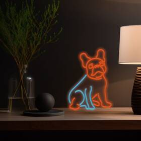 LED dekorácie Manta PES BULDOČIEK NEON 

 obrázok produktu 3 z 4