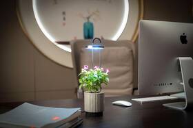 Inteligentný kvetináč Click and Grow HydroVase sivý

 obrázok produktu 4 z 4