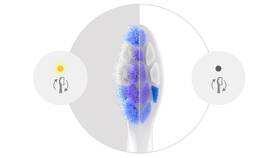 Náhradné hlavice Philips HX6056/87 (6 ks) biela

 obrázok produktu 7 z 9