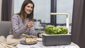Inteligentný kvetináč Click and Grow Smart Garden 3 sivý

 obrázok produktu 3 z 3