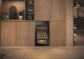 Vínotéka Haier HWS32GDG čierna

 obrázok produktu 14 z 15