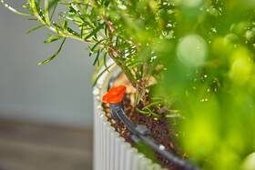 Ventil regulačný Gardena MicroDrip System 4,6 mm (2 ks) 

 obrázok produktu 3 z 5