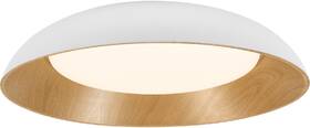 LED stropné svietidlo LEDVANCE ORBIS AL505 36W WT 

 obrázok produktu 1 z 5