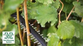 Nožnice na živý plot Bosch UniversalHedgeCut 18-55 (s batériou) 

 obrázok produktu 4 z 7