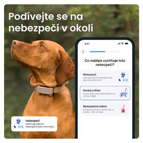 GPS lokátor Tractive DOG 6 hnedý

 obrázok produktu 3 z 10