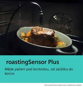 Rúra Siemens HS738G3B2 cookControl Pro čierna

 obrázok produktu 11 z 17