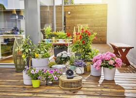 Zavlažovací systém Gardena AquaBloom 

 obrázok produktu 9 z 17