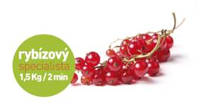 Odšťavovač Concept LO7066 biely

 obrázok produktu 18 z 18