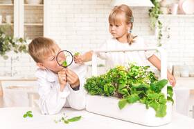 Inteligentný kvetináč Click and Grow Smart Garden 9 Pro biely

 obrázok produktu 4 z 7