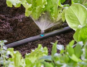 Tryska Gardena MicroDrip System 3320-20 (5 ks) 

 obrázok produktu 5 z 7