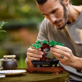 Stavebnica LEGO® Botanicals 10281 Bonsaj 

 obrázok produktu 7 z 8