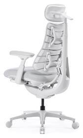 Ergonomická stolička LiberNovo Omni Pro Glacier, 48cm 

 obrázok produktu 3 z 19