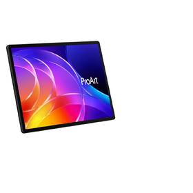 Notebook Asus ProArt PZ14 čierny

 obrázok produktu 6 z 13