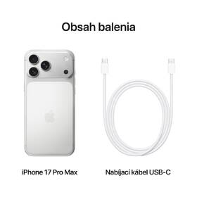 Mobilný telefón Apple 256 GB strieborny 

 obrázok produktu 8 z 10