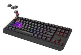 Klávesnica Genesis THOR 230, TKL, RGB, Outemu Red, bezdrôtová, US layout čierna

 obrázok produktu 6 z 9