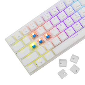 Klávesnica White Shark WAKIZASHI 2, Blue Switch, US layout biela

 obrázok produktu 2 z 6