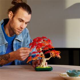 Stavebnica LEGO® Botanicals 10348 Bonsaj – Japonský červený javor 

 obrázok produktu 5 z 9