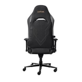Herná stolička Trust GXT 721 RUYA Pro Premium čierna

 obrázok produktu 6 z 7