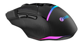 Myš C-Tech Zyra RGB čierna

 obrázok produktu 5 z 5