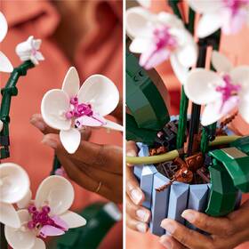 Stavebnica LEGO® Botanicals 10311 Orchidej 

 obrázok produktu 7 z 8