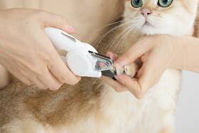 Nožnice na pazúriky Petkit LED Nail Clipper PRO biele

 obrázok produktu 2 z 7