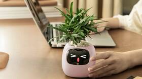 Inteligentný kvetináč Plantsio IVY generácia 2 ružový

 obrázok produktu 2 z 4