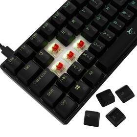 Klávesnica White Shark SHINOBI 2, CZ/SK layout, Red Switch čierna

 obrázok produktu 2 z 9