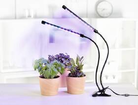 Stolná lampa XAVAX STICK 

 obrázok produktu 5 z 5