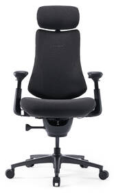 Ergonomická stolička LiberNovo Omni Pro Graphite, 48cm 

 obrázok produktu 1 z 17