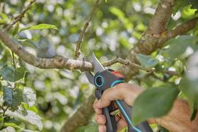 Nožnice na konáre Gardena 12222-20 (s batériou) 

 obrázok produktu 5 z 5