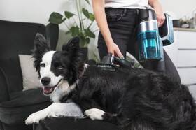 Tyčový vysávač Concept VP6130 Iconic Animal Smart Flex 29,6 V 

 obrázok produktu 36 z 38