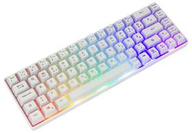 Klávesnica White Shark RONIN, US layout biela

 obrázok produktu 1 z 4