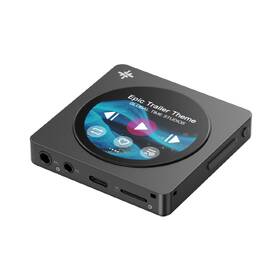 HiFi prenosný digitálny prehrávač FiiO SNOWSKY Disc čierny

 obrázok produktu 2 z 5