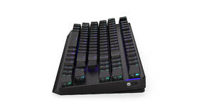 Klávesnica ENDORFY Thock TKL Wireless Red switche, US layout, RGB čierna

 obrázok produktu 6 z 11