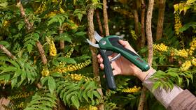Nožnice na konáre Bosch EasyPrune 

 obrázok produktu 2 z 3