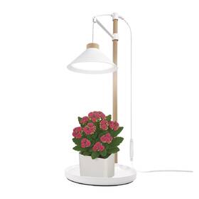 Lampa na pestovanie EMOS interiérová, 7 W, LED integrované, IP20 biela

 obrázok produktu 5 z 9