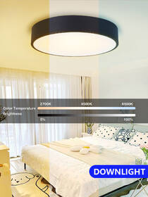 LED stropné svietidlo IMMAX NEO RONDATE SLIM SMART, 60 cm, Zigbee 3.0, TUYA čierne

 obrázok produktu 8 z 9