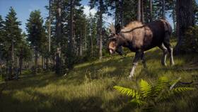 Hra THQ Nordic Way of the Hunter 

 obrázok produktu 1 z 11