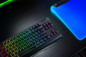 Klávesnica Razer BlackWidow V4 Tenkeyless HyperSpeed - US Layout čierna

 obrázok produktu 14 z 14