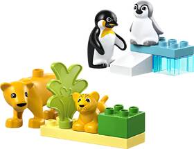 Stavebnica LEGO® DUPLO® 10442 Rodinky divokých zvierat: Tučniaky a levy 

 obrázok produktu 1 z 9